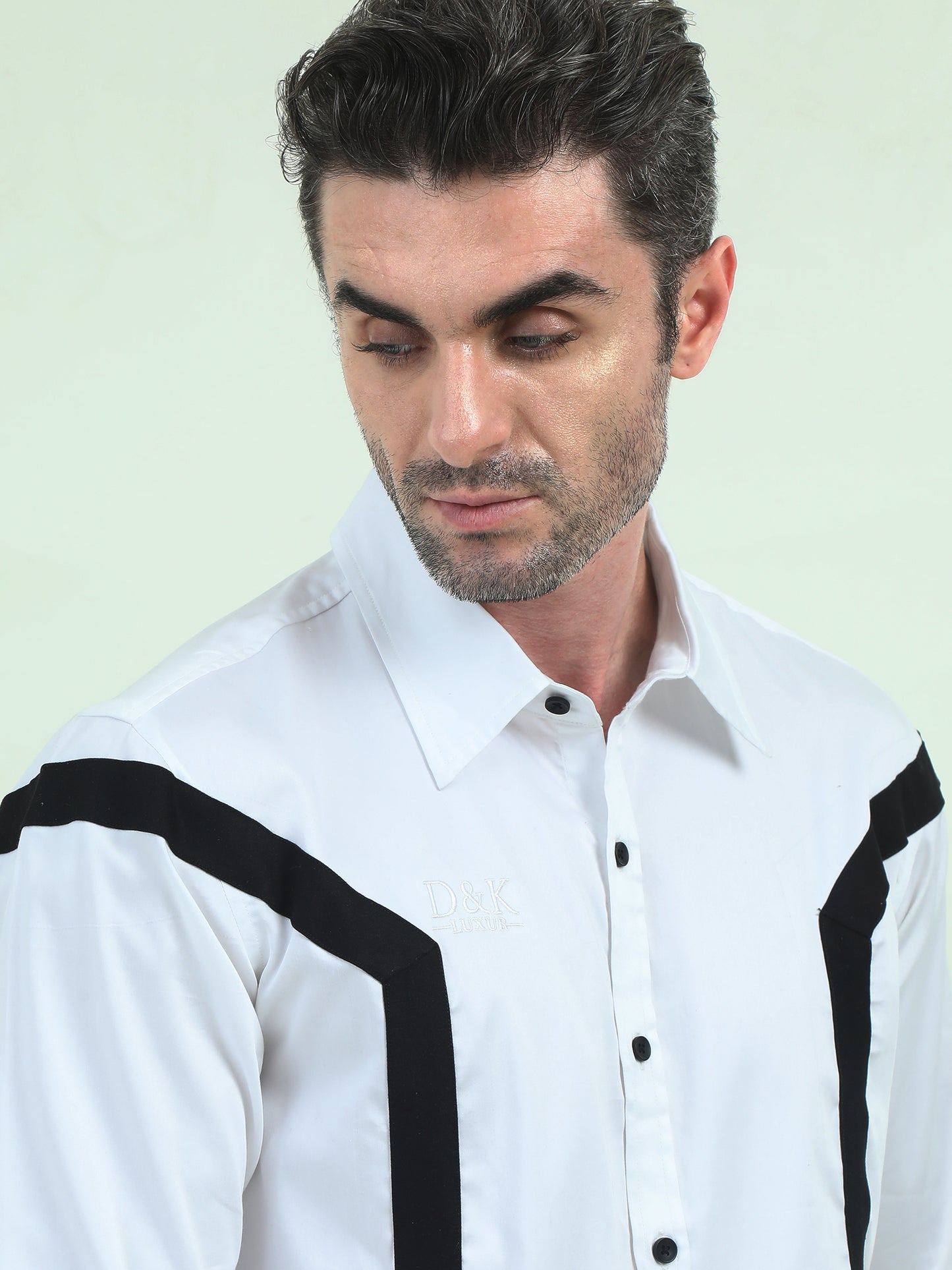 Double Stripes Formal Shirt